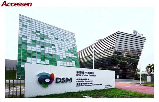 DSM Engineering Plastics Project